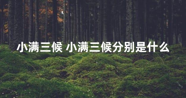小满三候 小满三候分别是什么